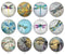 Handmade Round Photo Glass Cabochon 2242