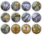 Handmade Round Photo Glass Cabochon 2243