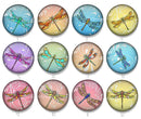 Handmade Round Photo Glass Cabochon 2246