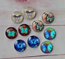 Handmade Round Photo Glass Cabachon animal butterfly A108