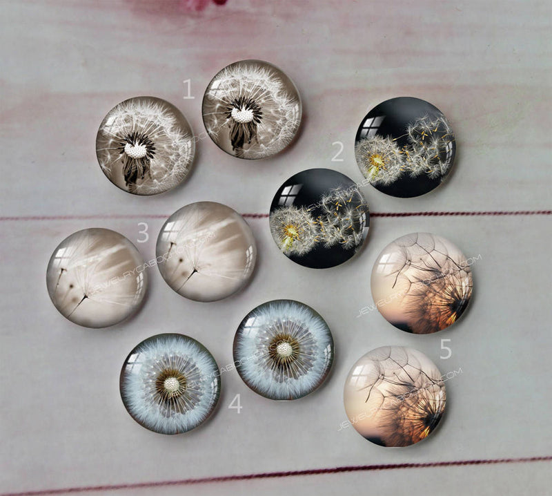 Handmade Round Photo Glass Cabachon plant Dandelion A115