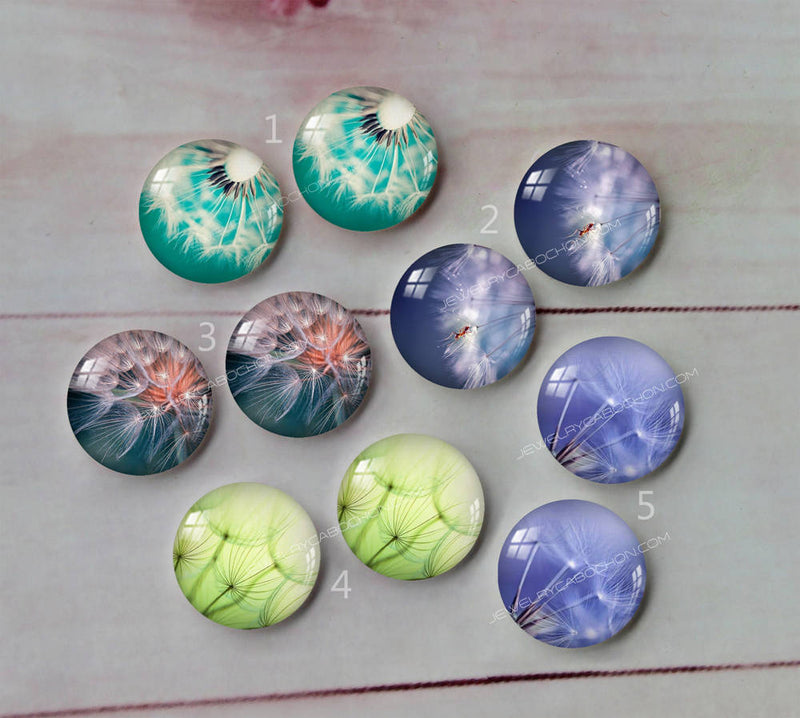 Handmade Round Photo Glass Cabachon plant Dandelion A118