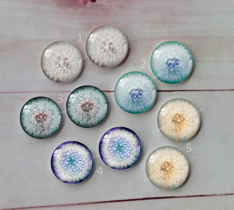 Handmade Round Photo Glass Cabachon plant Dandelion A124