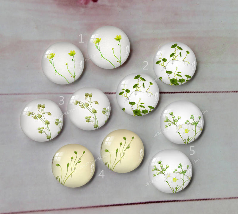 Handmade Round Photo Glass Cabachon plant flower A134