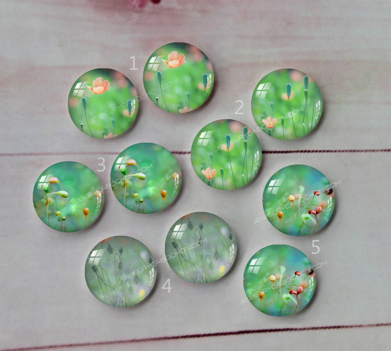 Handmade Round Photo Glass Cabachon plant flower A135