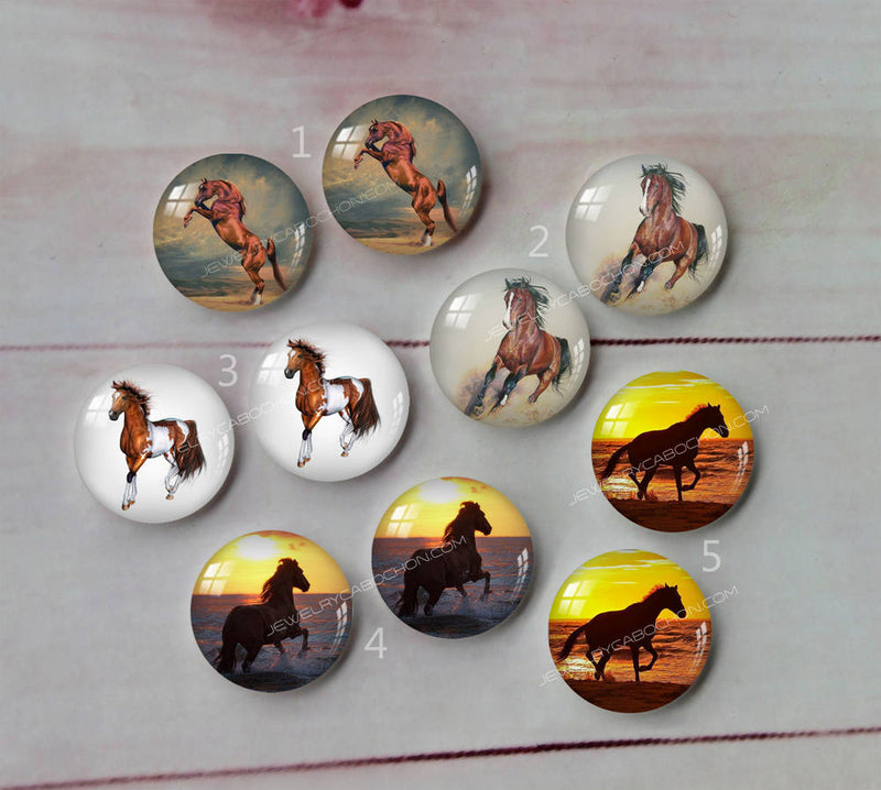 Handmade Round Photo Glass Cabachon animal horse A146