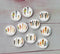 Handmade Round Photo Glass Cabachon feather Colorful A22