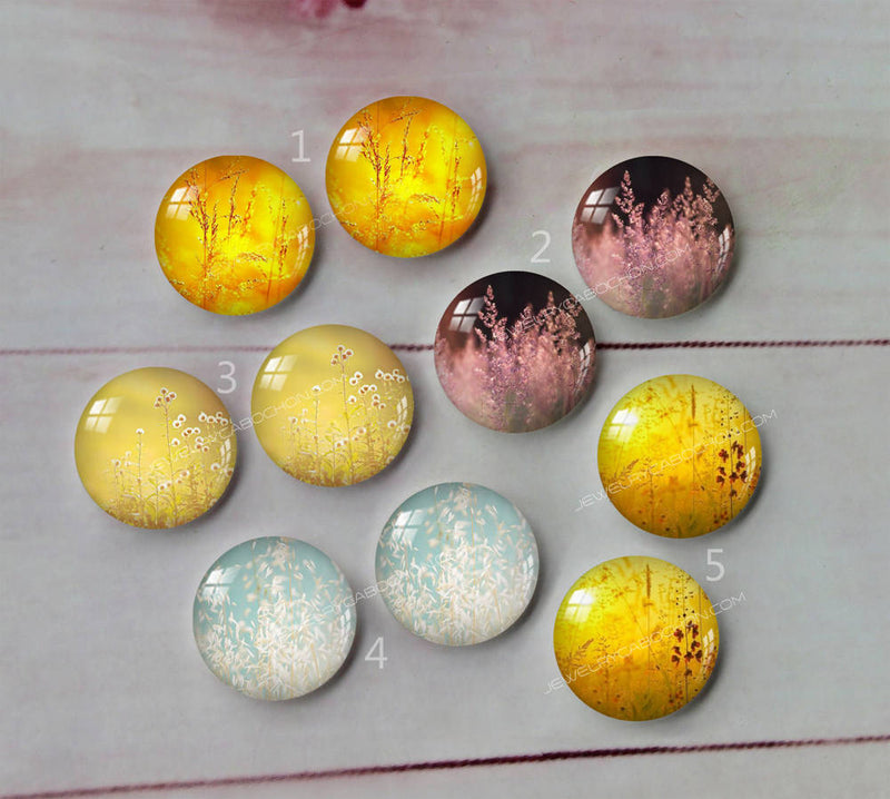Handmade Round Photo Glass Cabachon plant A32