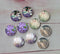 Handmade Round Photo Glass Cabachon plant flower grass A33
