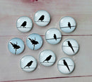 Handmade Round Photo Glass Cabachon animal bird  A36