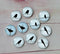 Handmade Round Photo Glass Cabachon animal bird  A36