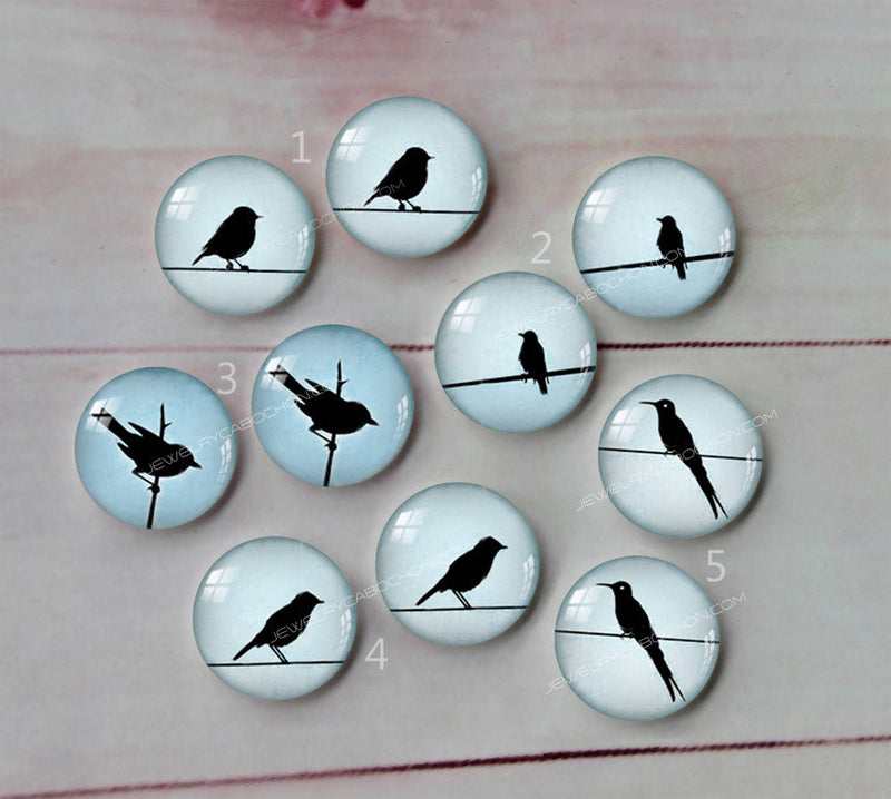 Handmade Round Photo Glass Cabachon animal bird  A36