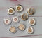 Handmade Round Photo Glass Cabachon Wood grain annual ring A57