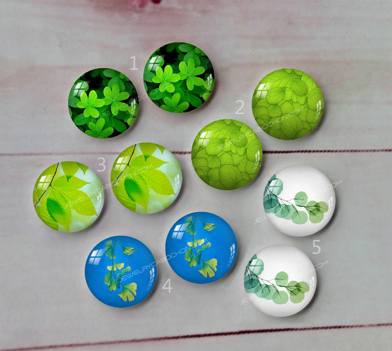 Handmade Round Photo Glass Cabachon plant Leaves A81