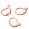 50pcs Stainless Steel Earring Wires,Surgical Stainless Steel Leverback Ear WireEar Wire Earring Hooks,Hypoallergenic Spring Earring Finding