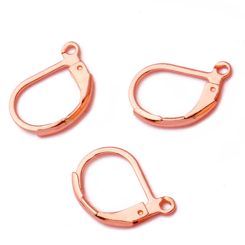 50pcs Stainless Steel Earring Wires,Surgical Stainless Steel Leverback Ear WireEar Wire Earring Hooks,Hypoallergenic Spring Earring Finding