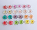 10pcs Resin Pressed flower Cabochons,Real dried flowers Cabochons