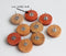 20pcs Stainless Steel wood Earrings Blanks,wood Earrings Base Settings