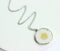 1pcs Handmade Pressed flower jewelry pendant necklace