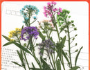 1pcs blue pressed flower jewelry, pressed flower pendant necklace, Real dried flower jewelry wholesale